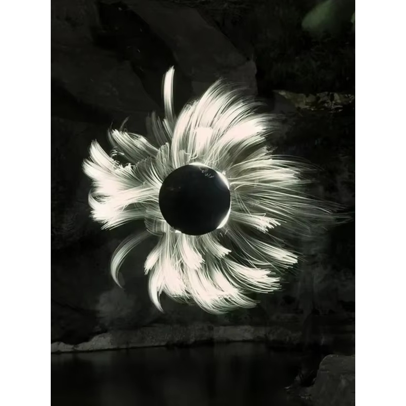 Módulo de luz de cepillo liger - Photography Lighting Guides reseña y precio